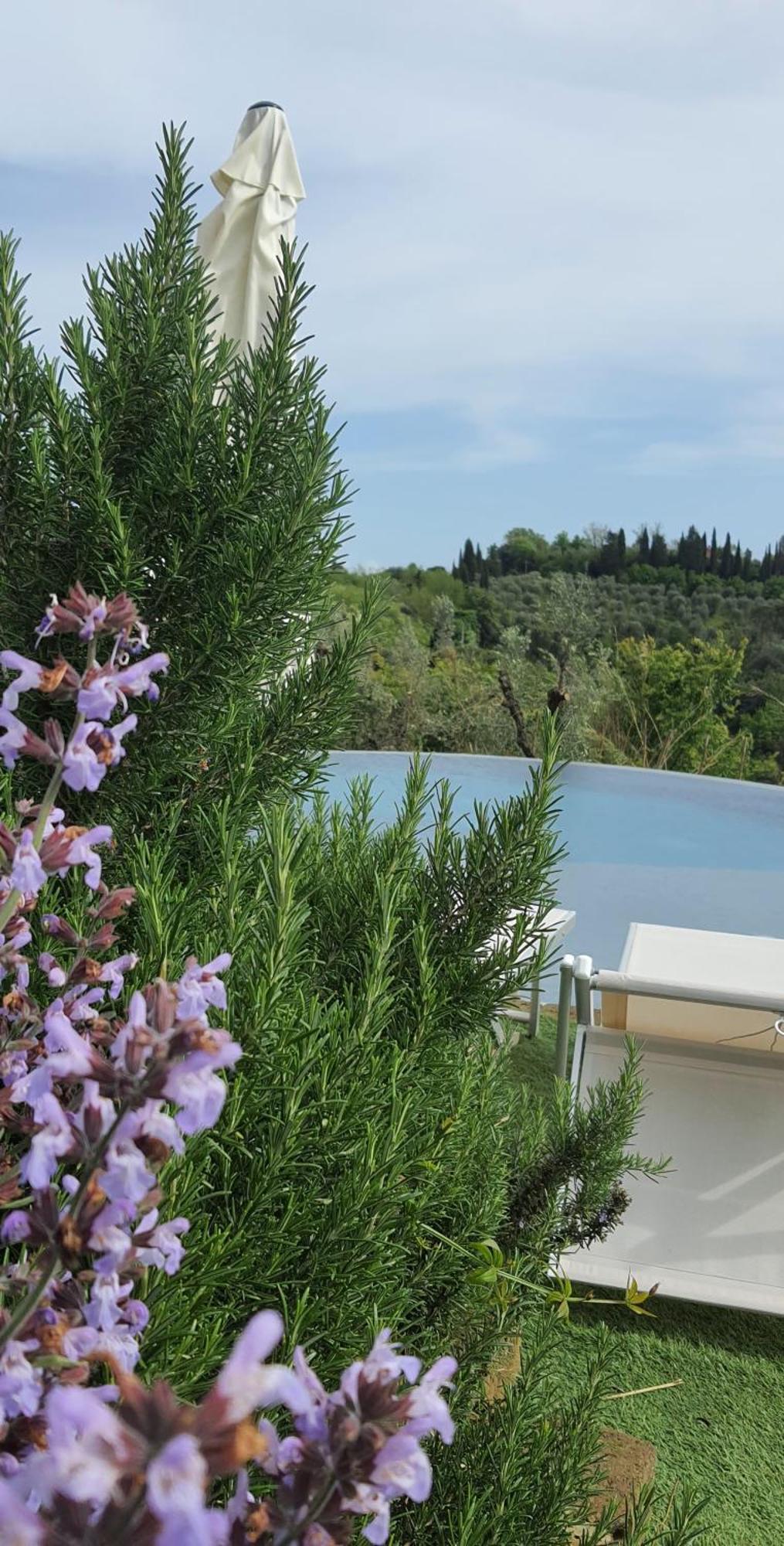 Villa In Campagna Costa Al Bagno Montopoli in Val dʼArno Dış mekan fotoğraf