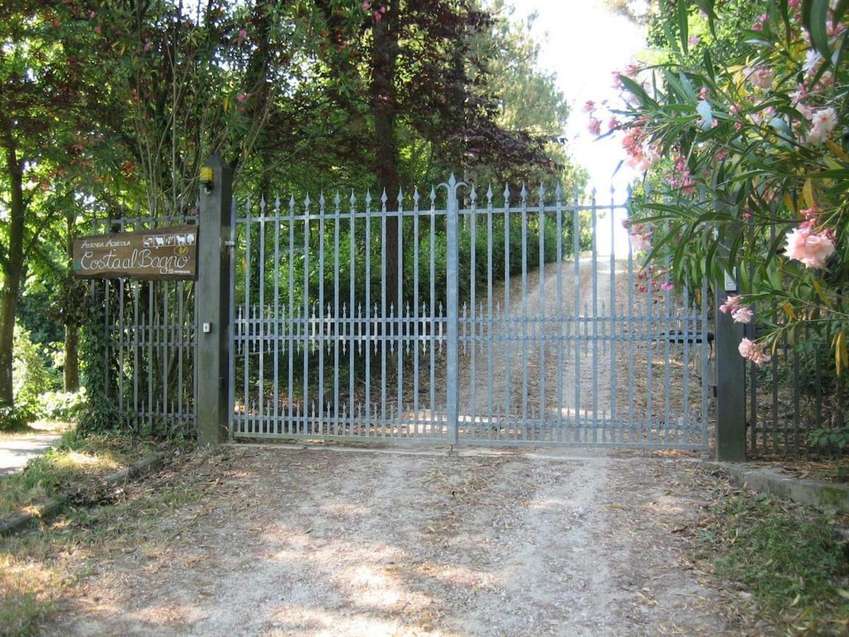 Villa In Campagna Costa Al Bagno Montopoli in Val dʼArno Dış mekan fotoğraf